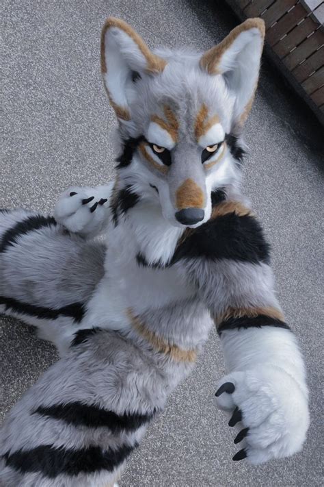 furry wolf|realistic wolf fursuit for sale.